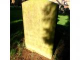 image of grave number 723144
